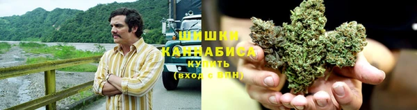 крисы Аркадак