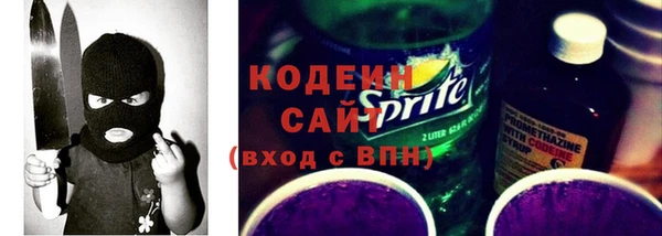 хмурый Ельня