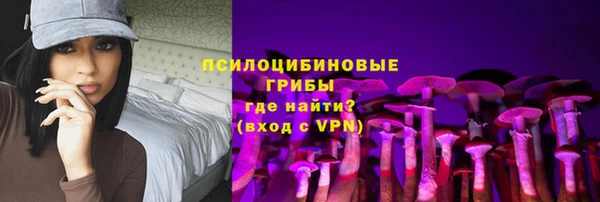 крисы Аркадак