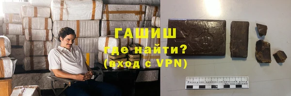 сатива Алзамай