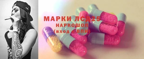 крисы Аркадак