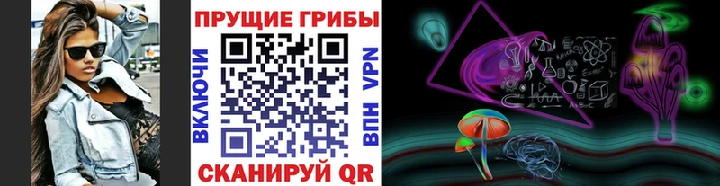 Псилоцибиновые грибы Psilocybine cubensis  Нефтегорск 