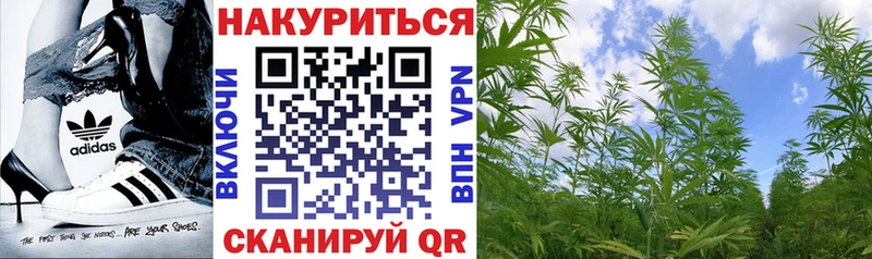 Канабис план  Нефтегорск 